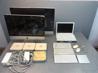 Apple - 7