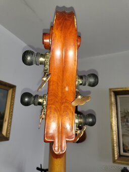 Kontrabas - 7