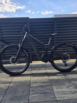 Scott - 7