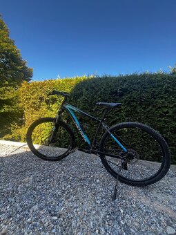 cyclision corph 7 - 7