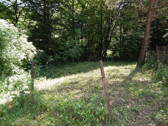 EXKLUZÍVNE- SPEKTRUM REALITY- Na predaj záhrada 348 m2, Hand - 7