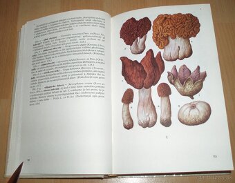 Huby lesov, polí a lúk - 7