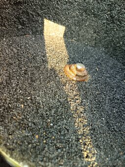 Škrabka na zemiaky po generálnom repase - 7