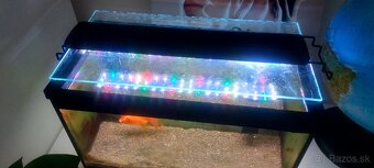 Aquarium 2x s príslušenstvom - 7