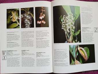 Ilustrovaná encyklopédia orchideí v angličtine - 7