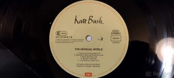 lp Peter Gabriel /Santana /Mike Oldfield.. - 7