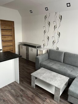 Dlhodobý prenájom bytu po kompletnej rekonštrukcii (42 m²) - 7