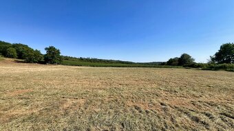 Stavebný pozemok 5285 m², Veľké Vozokany, Zlaté Moravce - 7