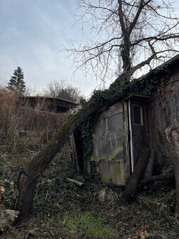 Výrub stromov, Rizikový orez, Starostlivosť o zeleň - 7