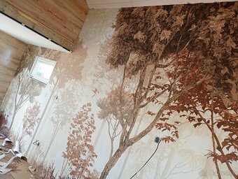 Tapetovanie (tapetar) - 7