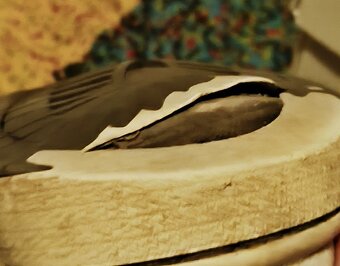 Air Jordan 1 travis scoot low reverse mocha - 7