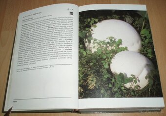 Atlas húb - 7