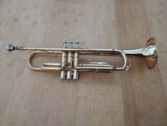 Trúbka - 7