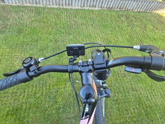 Predam Kross Lea Jr. 24 - 7