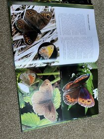 Knihy o hmyze - 7