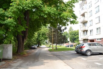 Prenájom pozemku, Lúčky Holíč - 7