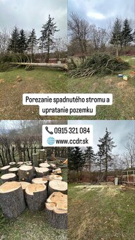 Kosenie, mulčovanie, frézovanie pňov, preprava, vypratávanie - 7