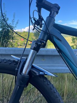 CTM Rambler 1.0 29” XL 2019 - 7