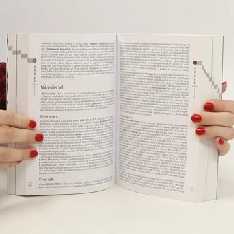 Rakúsko - český turistický sprievodca Rough Guides - 7