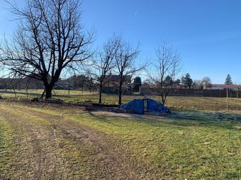 Medvecké, okres Levice - 7