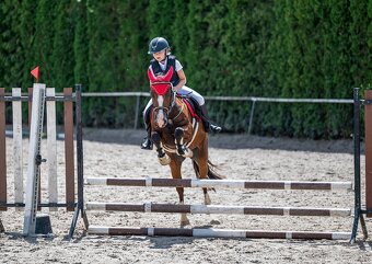 Náš Princ hledá svoji princeznu - 7