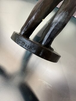 Predam sošku so značenim autora - 7