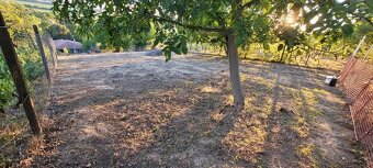 Pozemok na predaj_Staré Predné Levice_1000m2 - 7