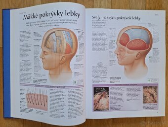 Ludske telo - atlas anatomie cloveka - 7
