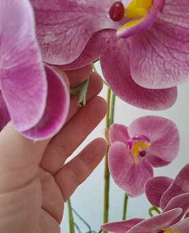 umelá orchidea v kvetináči, výška 75cm - 7