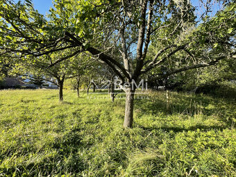 Znižená cena -predaj pozemku v interaviláne obce Sklené - Tu - 7