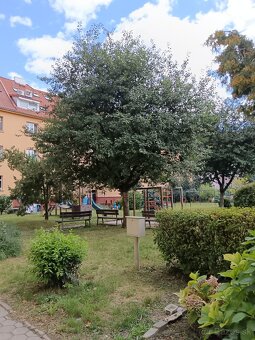 REZERVE VEĽKÝ 2IZB ,51M2, TEHLA ZIMNÁ PRI TUKE - 7