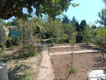 Zahrada v zahradkarskej osade v Sali - 7