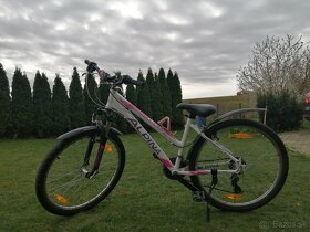 Dámsky, dievčenský bicykel ALPINA S ram - 7