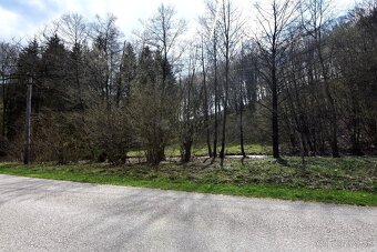 Na predaj krásny lesný pozemok Drietoma-Liešna, 6549m2 - 7