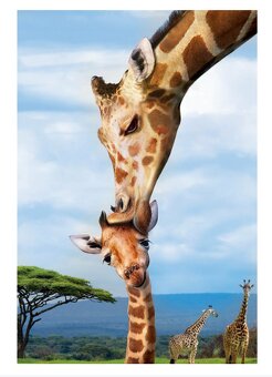 Detské puzzle a skladačky a korčule - 7