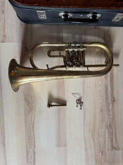 Krídlovka značka Lidl Brno - 7