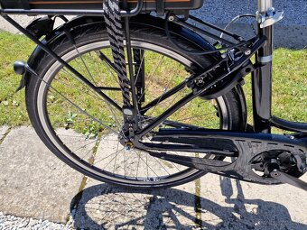 Predam Elektrobicykel Prophete - 7