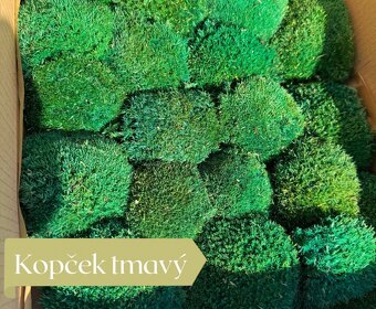 Stabilizovaný mach - 7