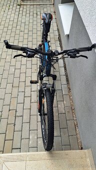 CTM REIN 1.0. - 7