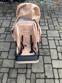 Kočiar coletto dante - 7