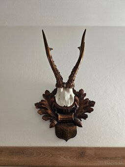 Parožie - 7