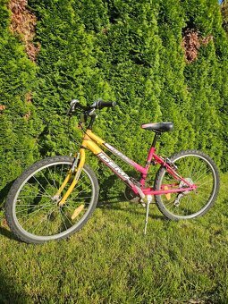Detský bicykel Dema - 7