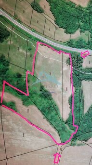 Pekný pozemok (3,2ha) na Hrušove okres Veľký Krtíš. - 7