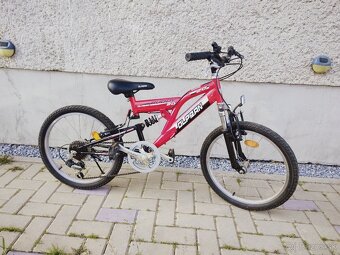 Bicykel decky - 7