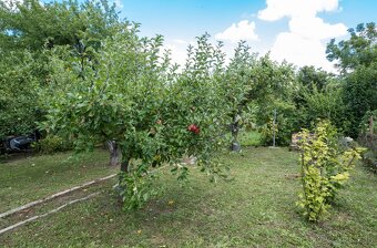 EXKLUZÍVNE : NA PREDAJ SLNEČNÁ ZÁHRADA NA SUCHOM VRCHU - 7