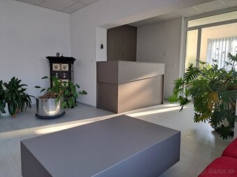 priestory vhodné na podnikateľké účely - 7