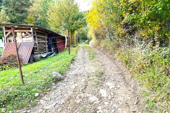 Na predaj rekreačný lesný pozemok - Brvnište. - 7