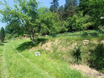 Predaj záhrady s chatkou v pôvodnom stave v OV,390m2-Budatín - 7
