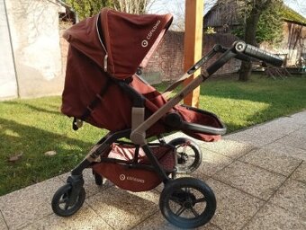 Concord Wanderer - 7