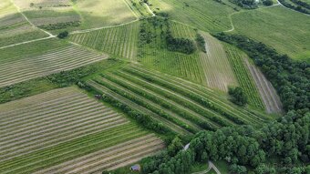 PREDAJ OBRÁBANÝCH VINÍC - GRINAVA, PEZINOK - 7